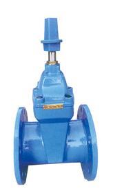 RVX-12/10帶傳動帽彈性(xing)座封閘閥